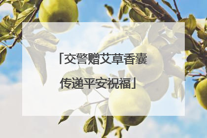 交警赠艾草香囊 传递平安祝福